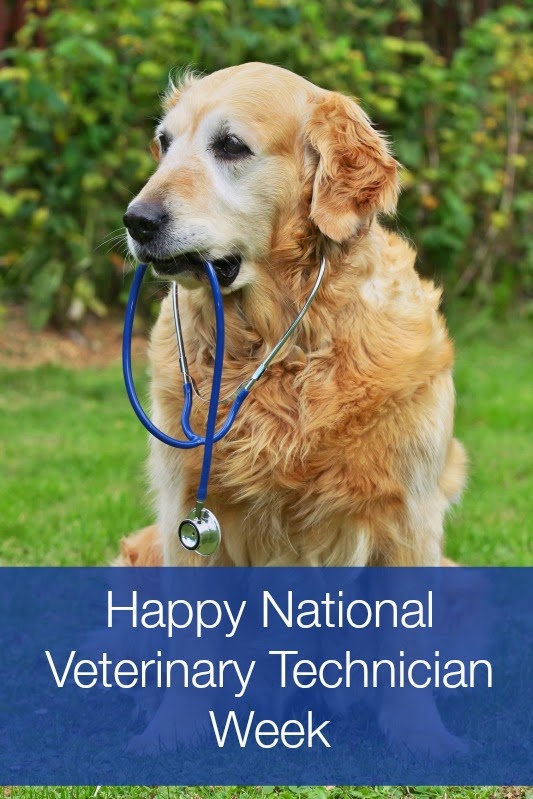 Happy Veterinary Technician Week Risinger Veterinary Hospital