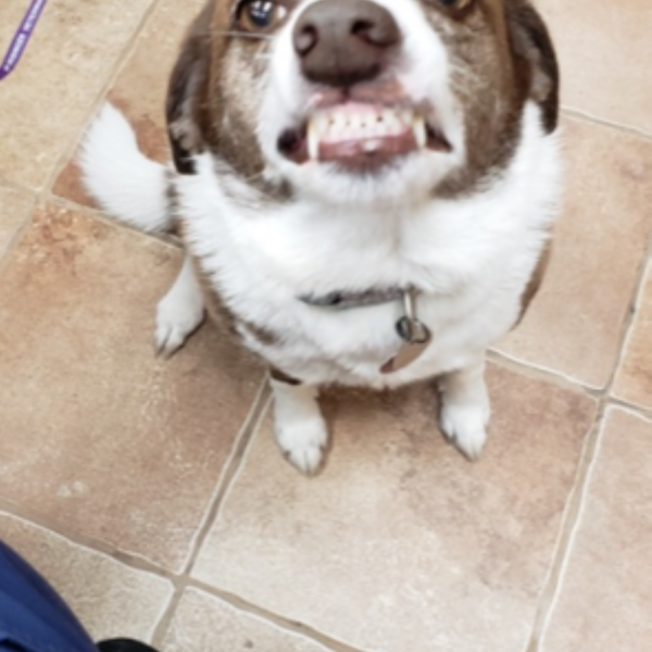 She feels pretty after her dental!
